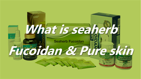 What is seaherb fucoidan & Pure Skin