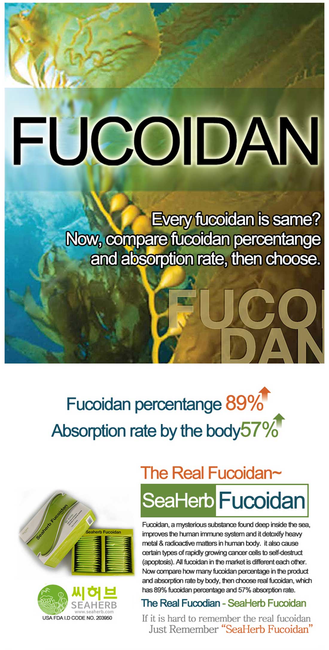 fucoidan-liquid-alternative-2